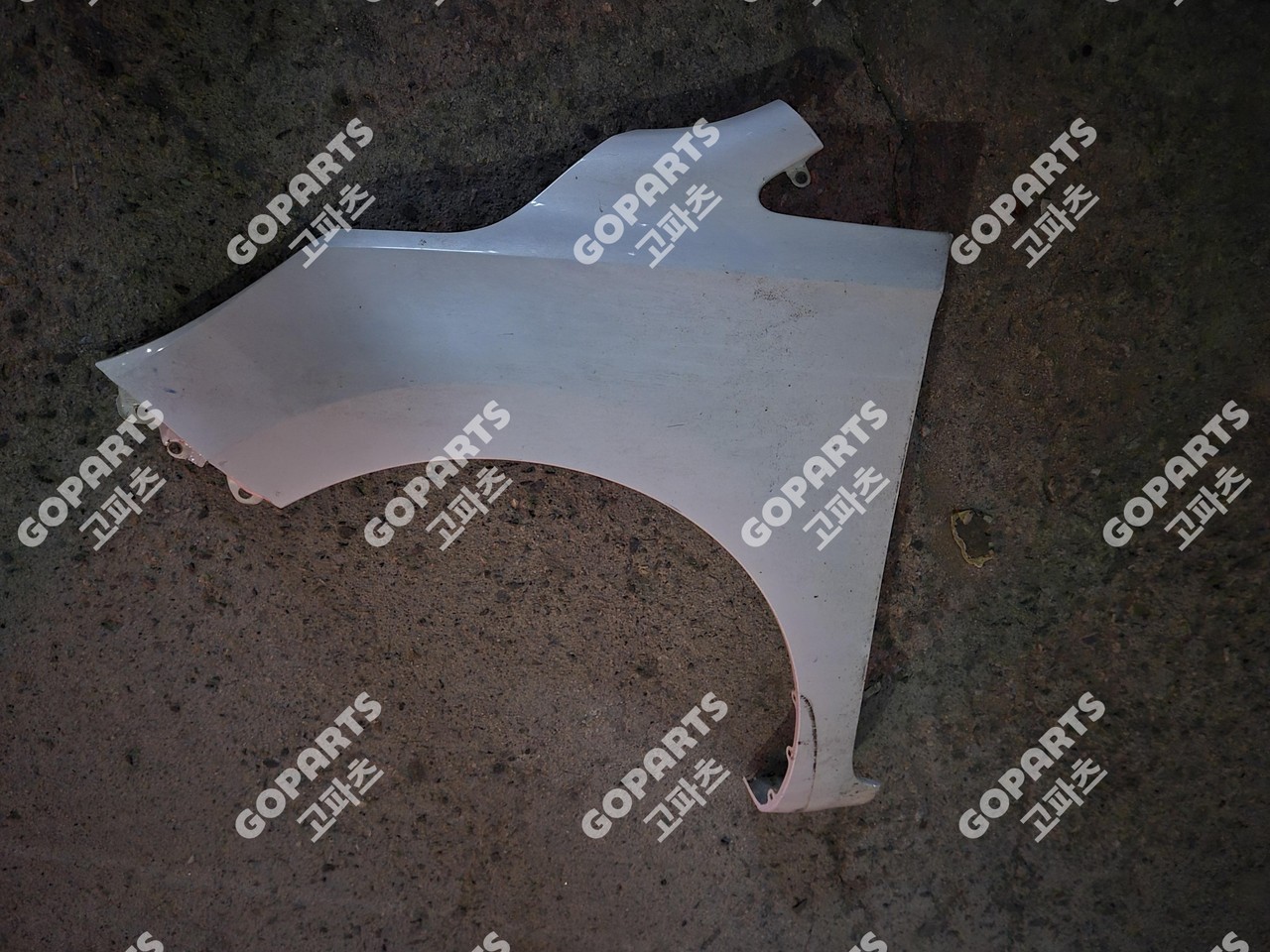 기아 더뉴카니발 운전석 휀더 휀다 사진 3