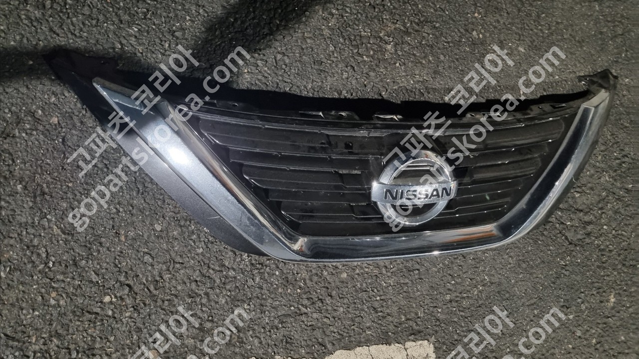 닛산 알티마 그릴 사진 2