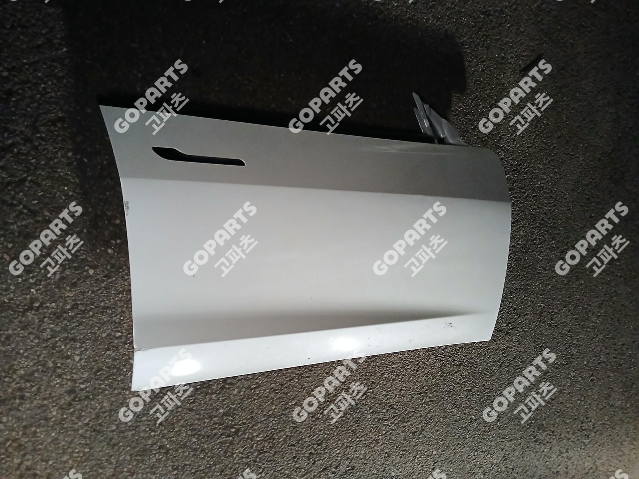 테슬라 모델3 조수석앞도어 사진 3