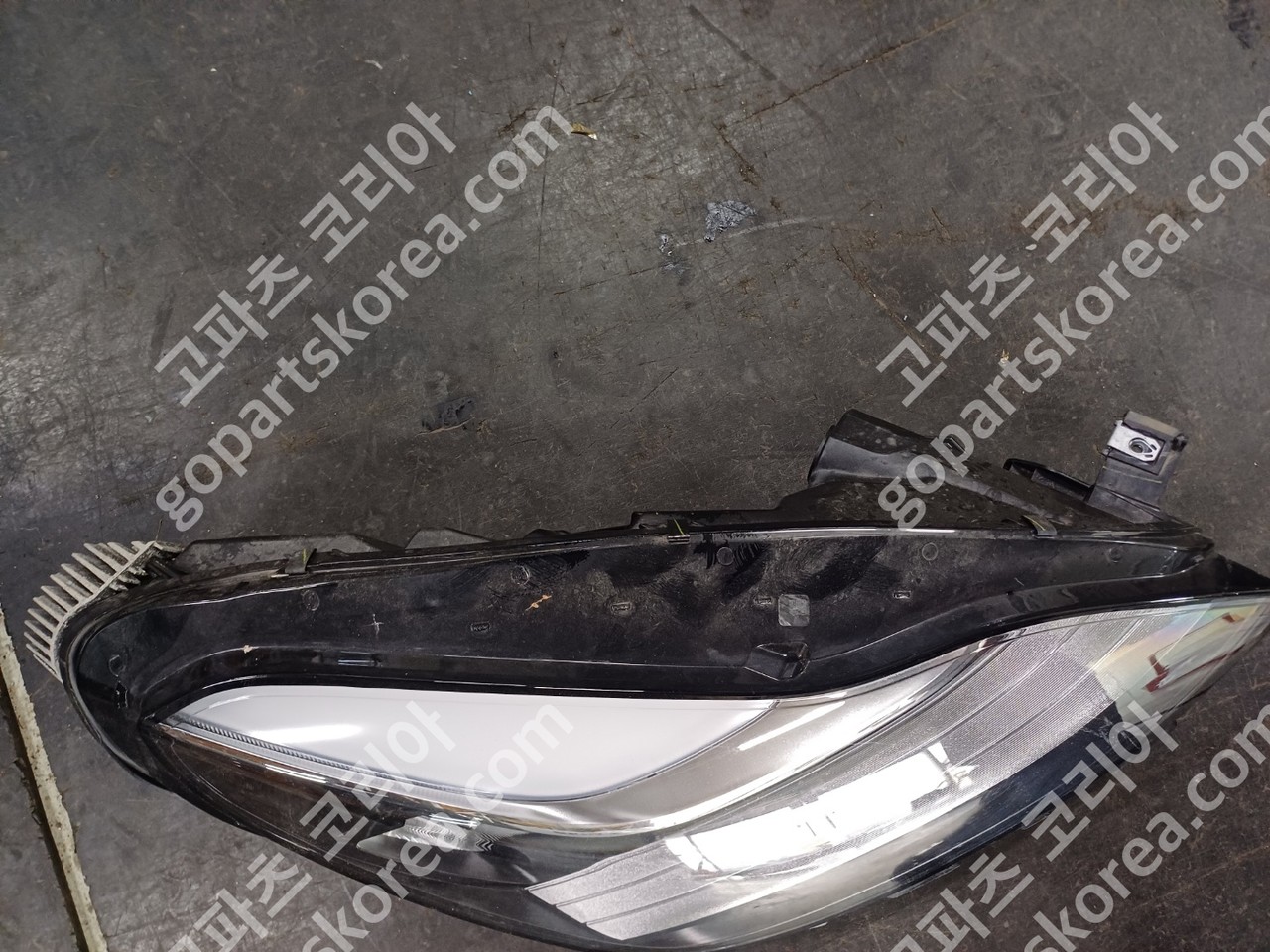 테슬라 모델Y 전기 헤드라이트 조수석 사진 2