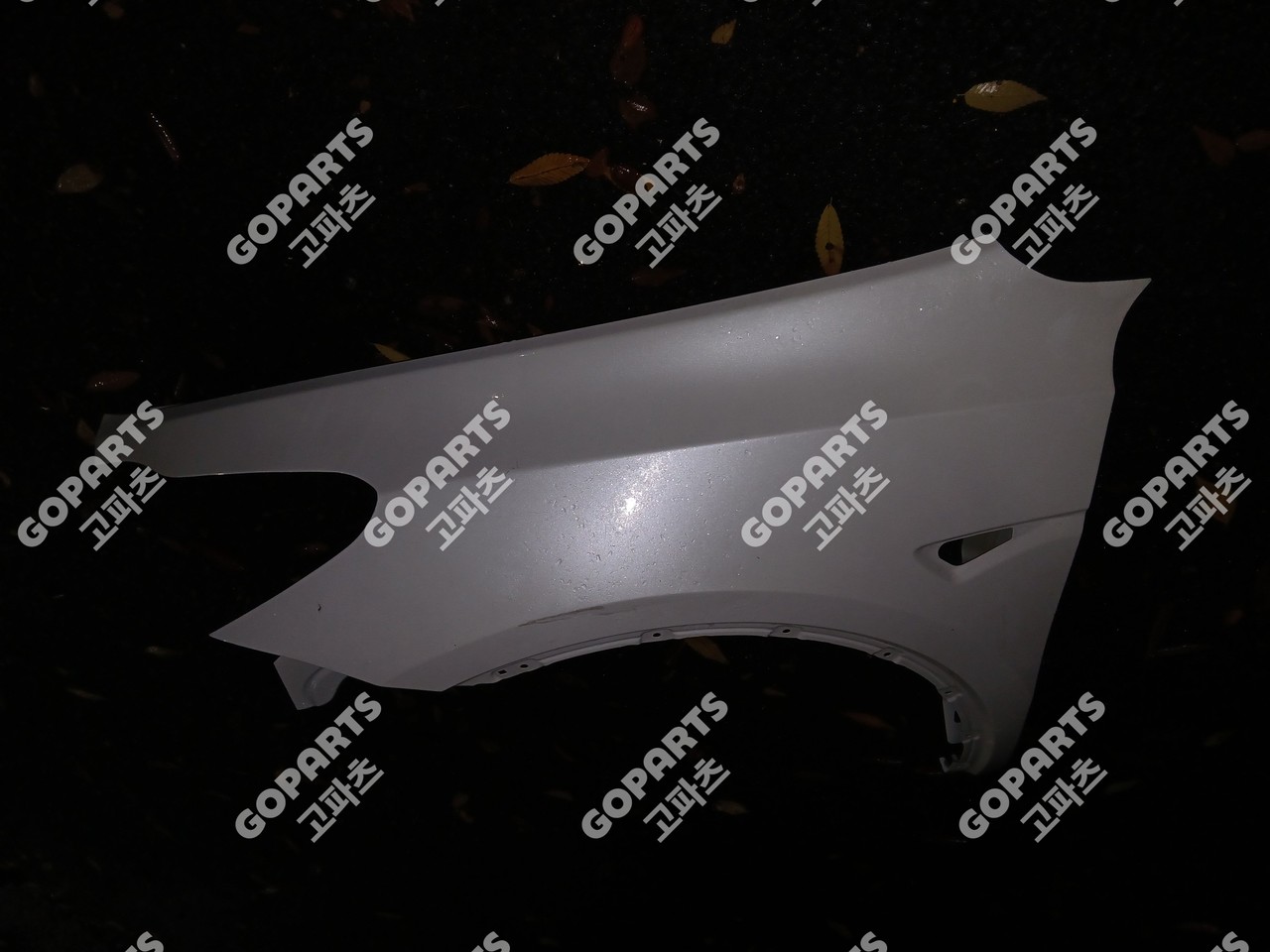 테슬라 모델Y 조수석 앞휀더 조휀더 사진 2