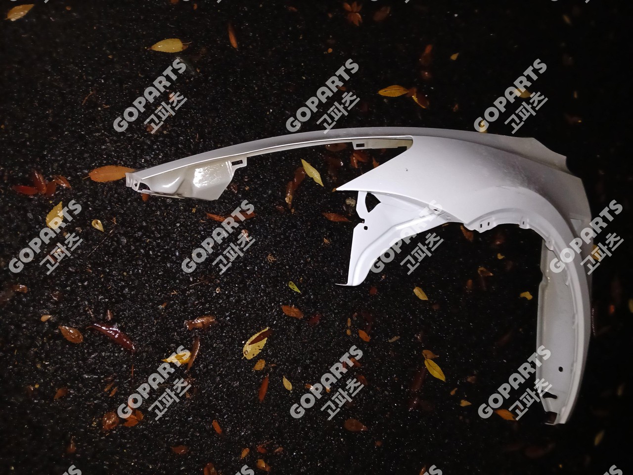 테슬라 모델Y 조수석 앞휀더 조휀더 사진 3