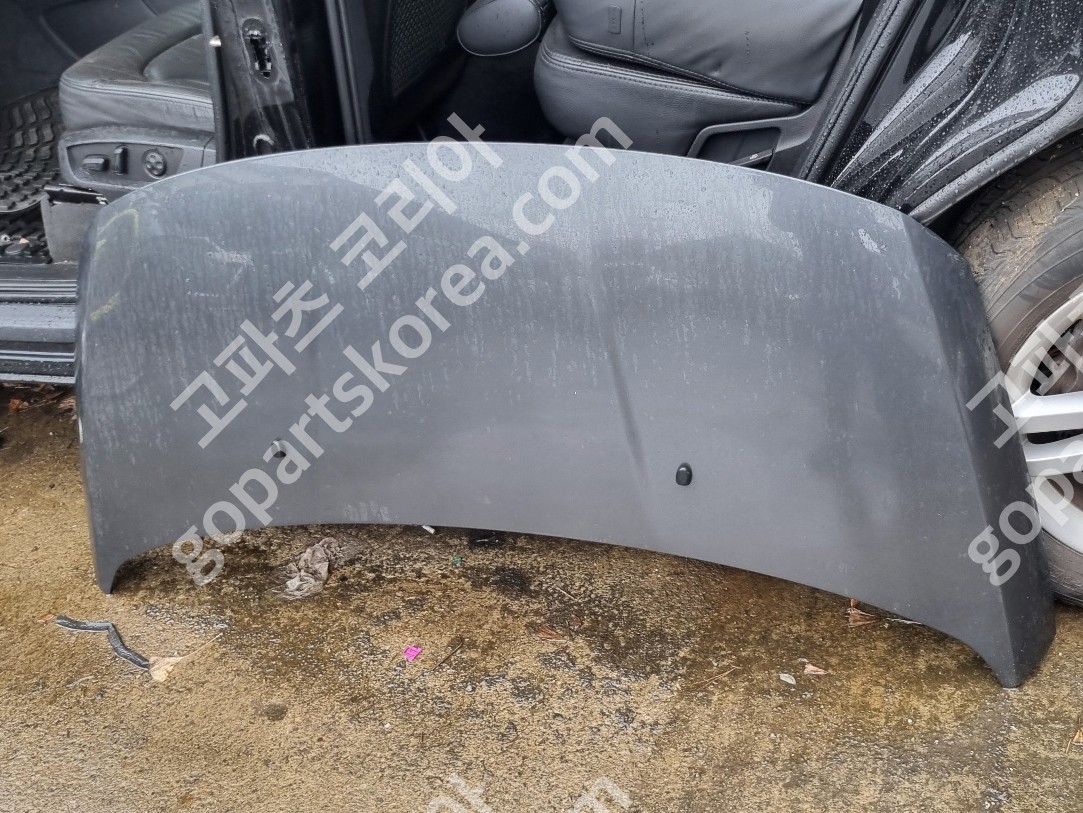 푸조 3008 1세대 전기 본네트 사진 2